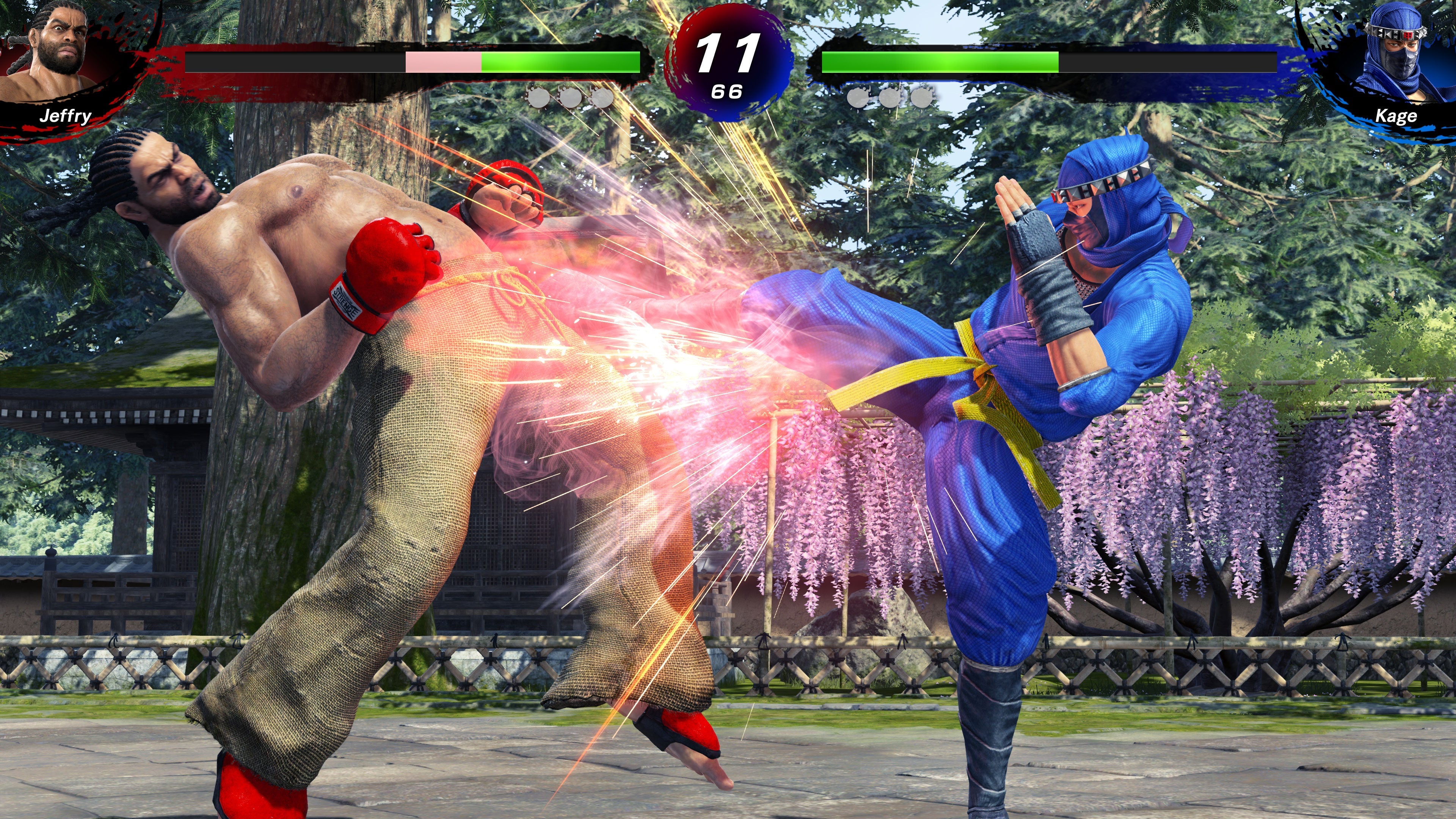 Virtua Fighter 5 R.E.V.O. World Stage 30th Anniversary Edition (Switch 2)