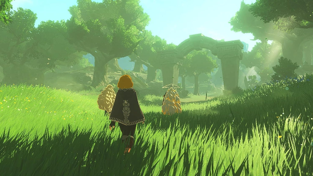 Hyrule Warriors: Age of Imprisonment (Switch 2)