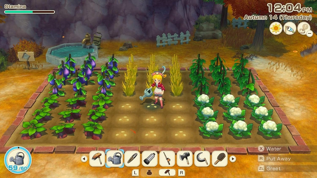 STORY OF SEASONS: Grand Bazaar - Limited Edition (Switch 2)