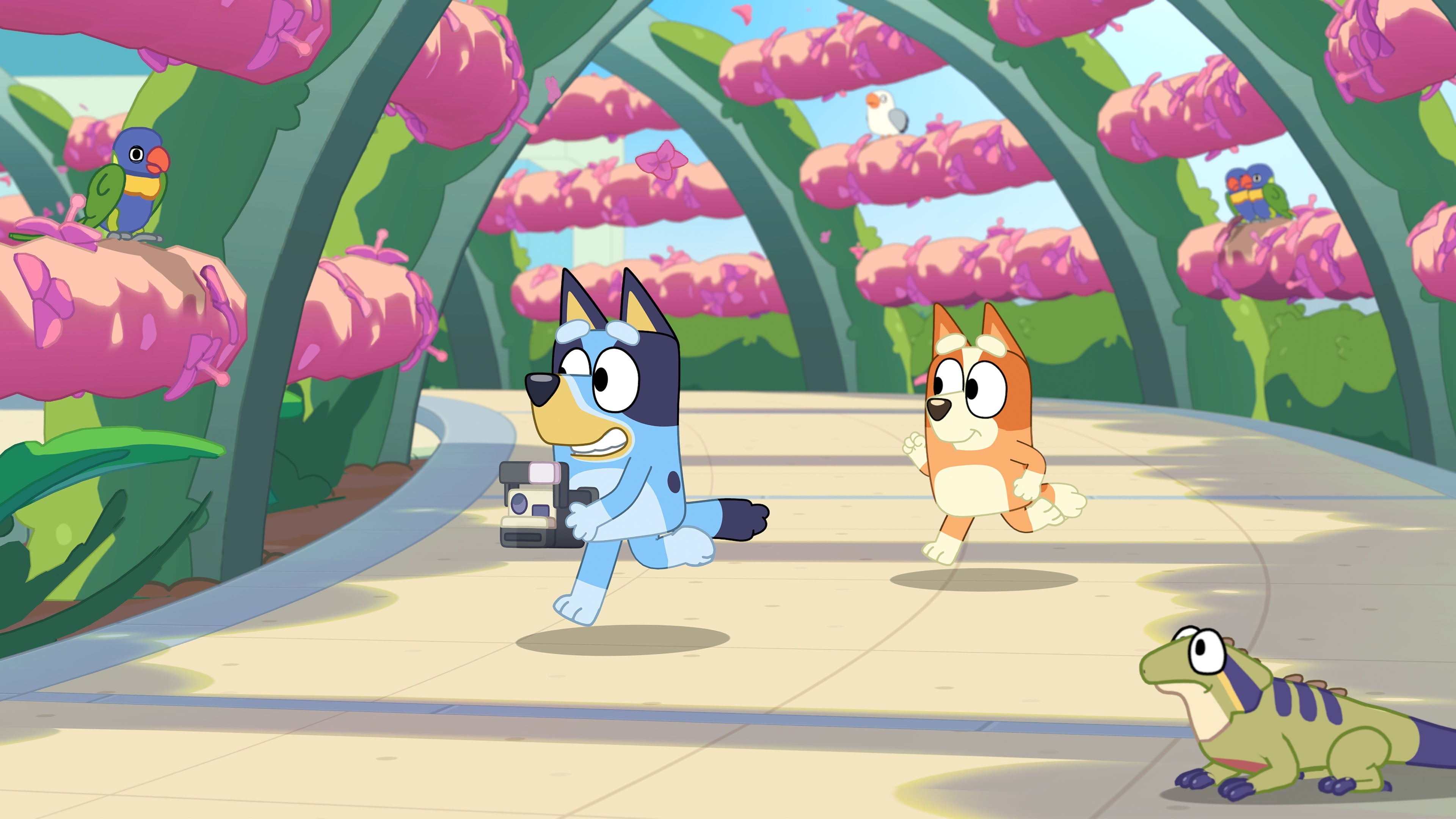 BLUEY’S HAPPY SNAPS - Deluxe Edition (Switch 2)