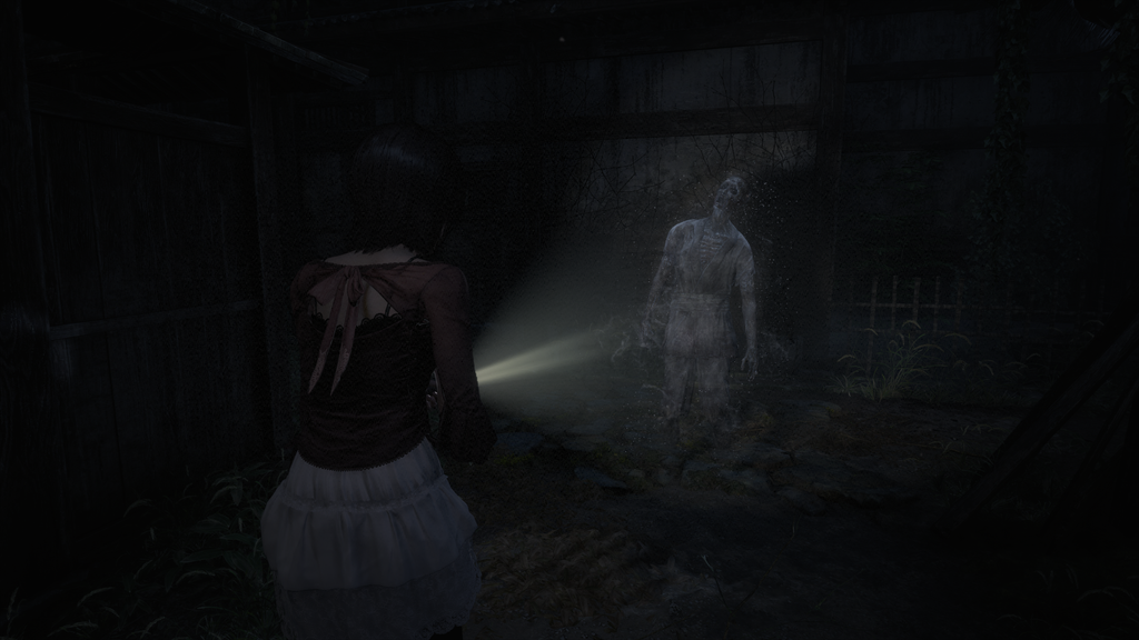 Fatal Frame II (Switch 2)