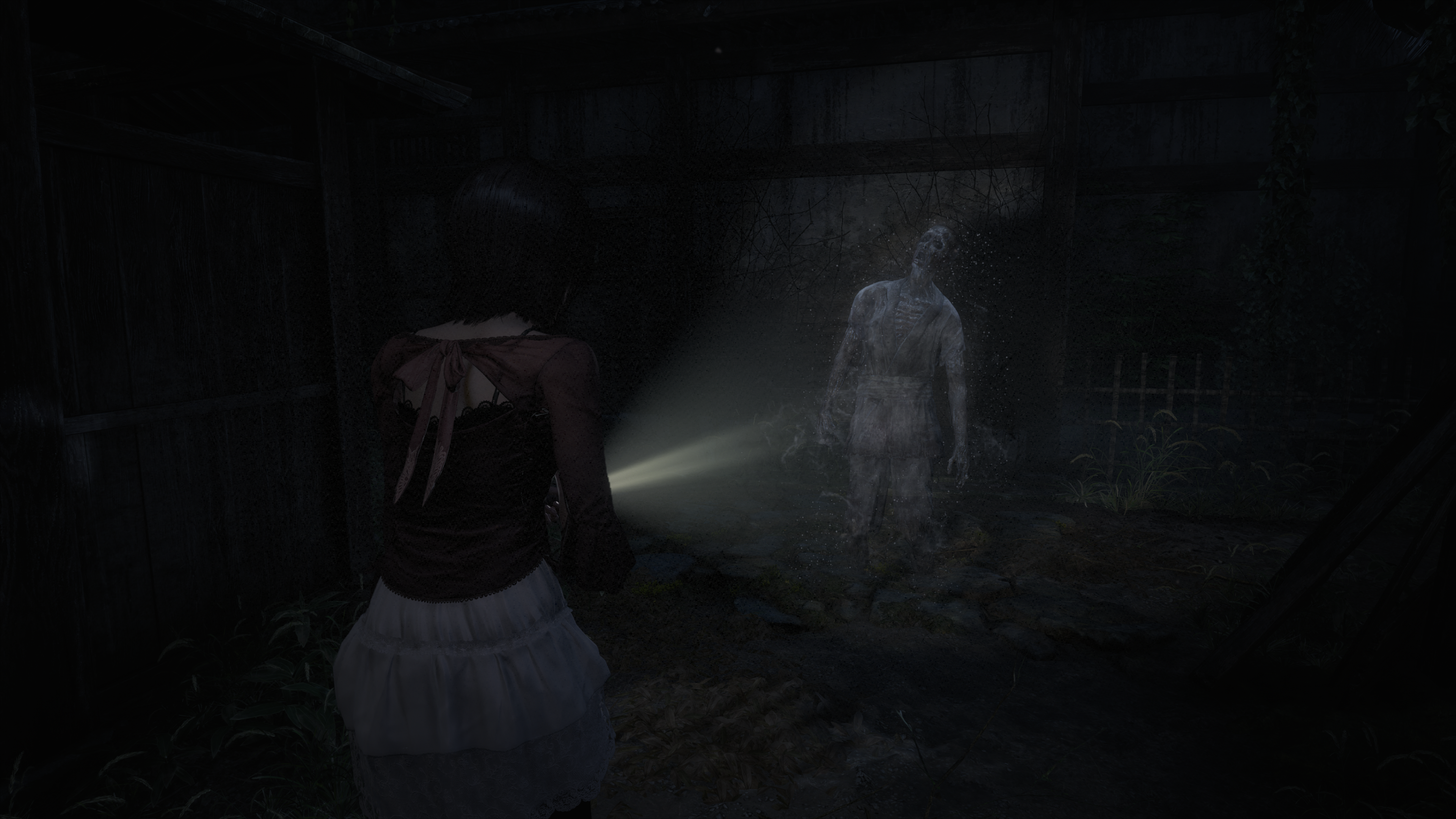 Fatal Frame II (Switch 2)