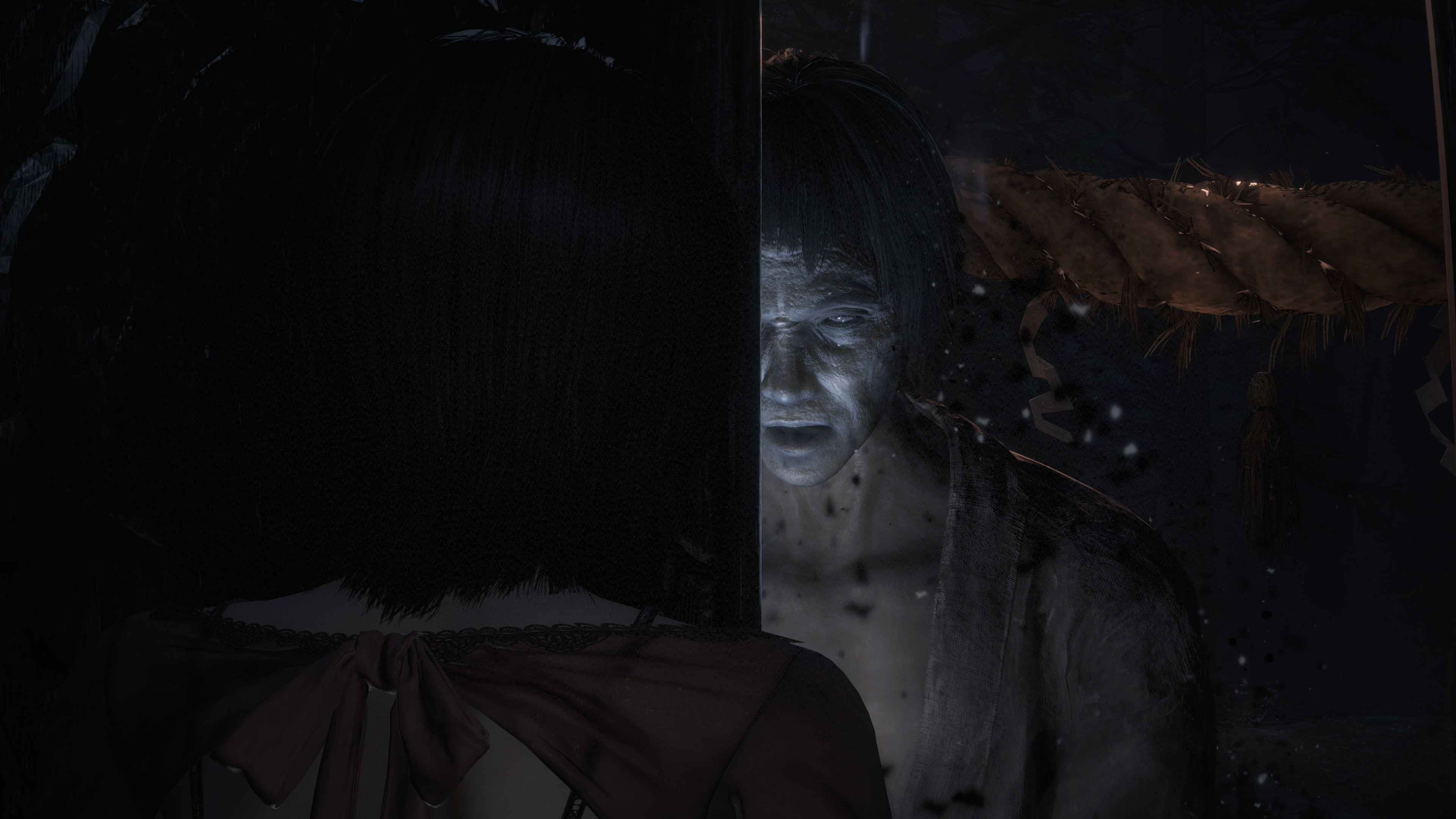 Fatal Frame II (PS5)