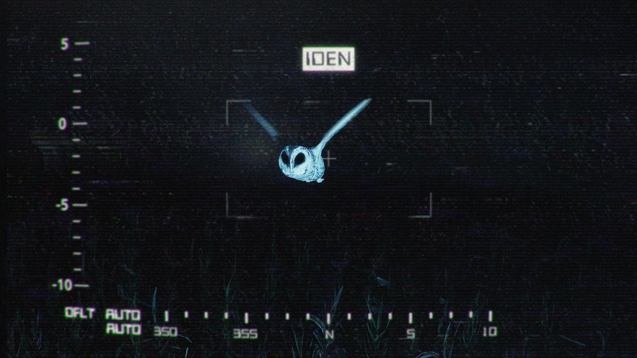 They Are Here: Alien Abduction Horror (PS5)
